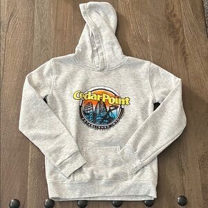 Gray Cedar Point Hoodie